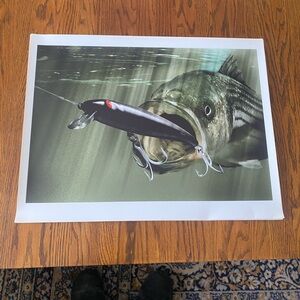 Original Bluefish photo print
